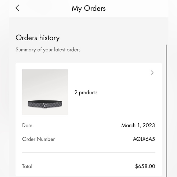 Louis Vuitton belt - Picture 6 of 6